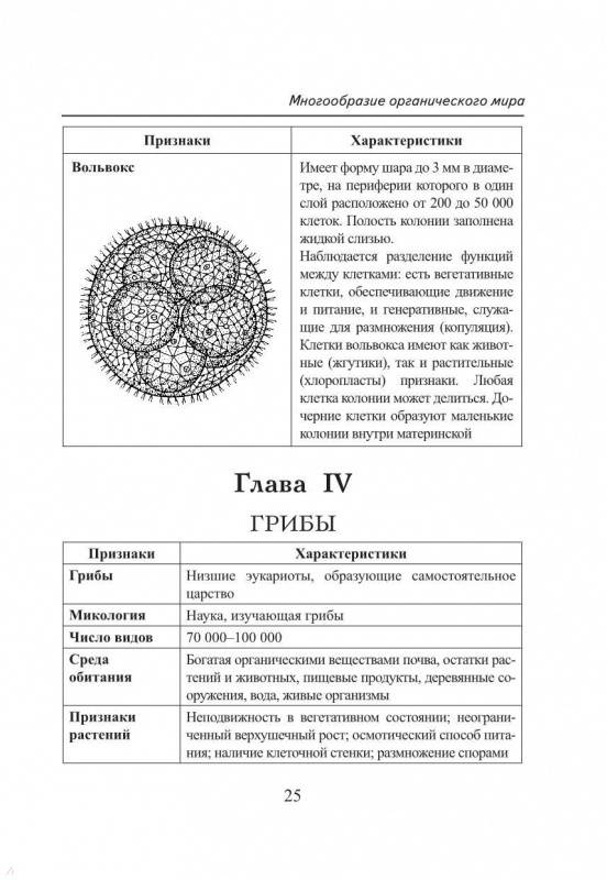 Заяц биология в таблицах и схемах