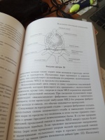 Артем фролов йогатерапия хатха йога как метод реабилитации практическое руководство