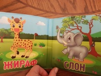 Изображение отзыва