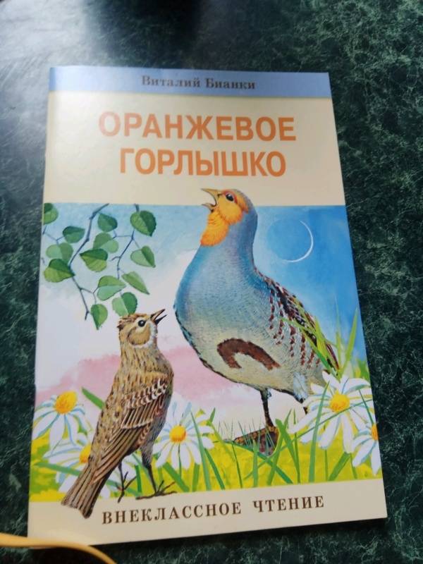 Читать оранжевое горлышко бианки полностью с картинками бесплатно