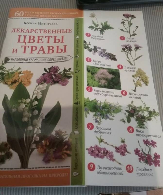 Определитель цветов. Ксения Митителло наглядный карманный определитель. Определитель лекарственных растений. Лекарственные растения определитель книга. Справочник определитель растений.