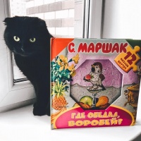 Изображение отзыва