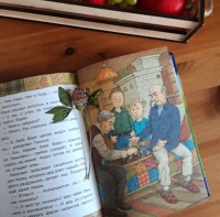 Изображение отзыва