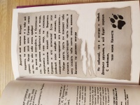 Сью бентли книги