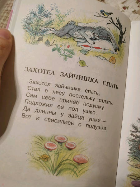 Самые мягкие и трогательные стихи книги и картины