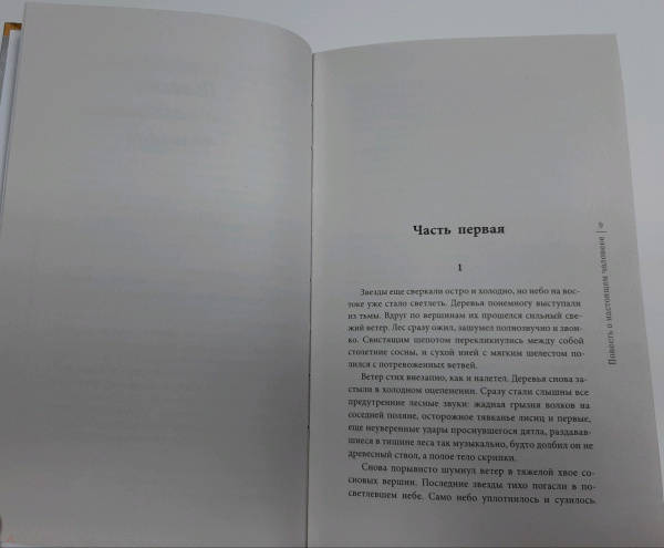 Повесть о настоящем человеке картинки из книги