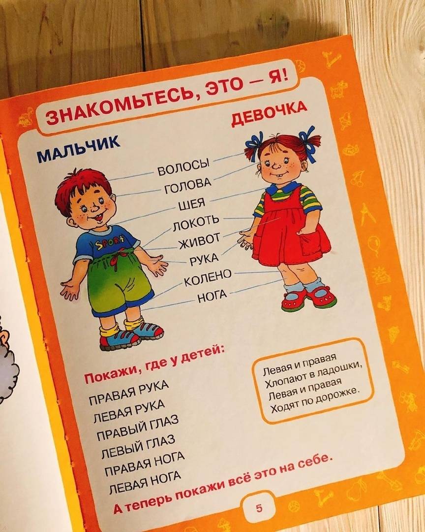 Миниатюра 5