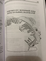 Брин в б физиология человека в схемах и таблицах