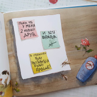 Изображение отзыва