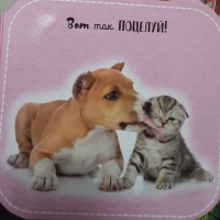 Изображение отзыва