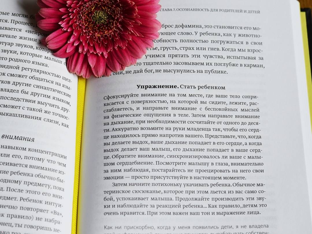 Быть собой руководство по осознанности для тех кто на грани