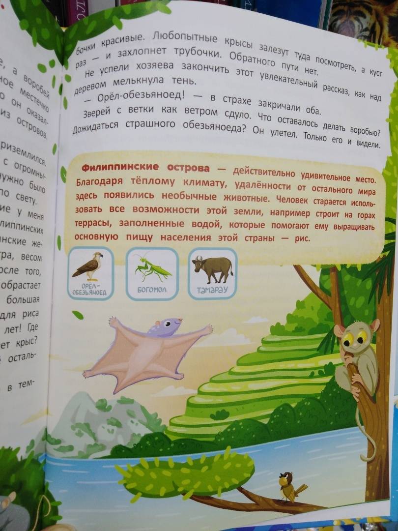 Жалобная книга природы в картинках для детей