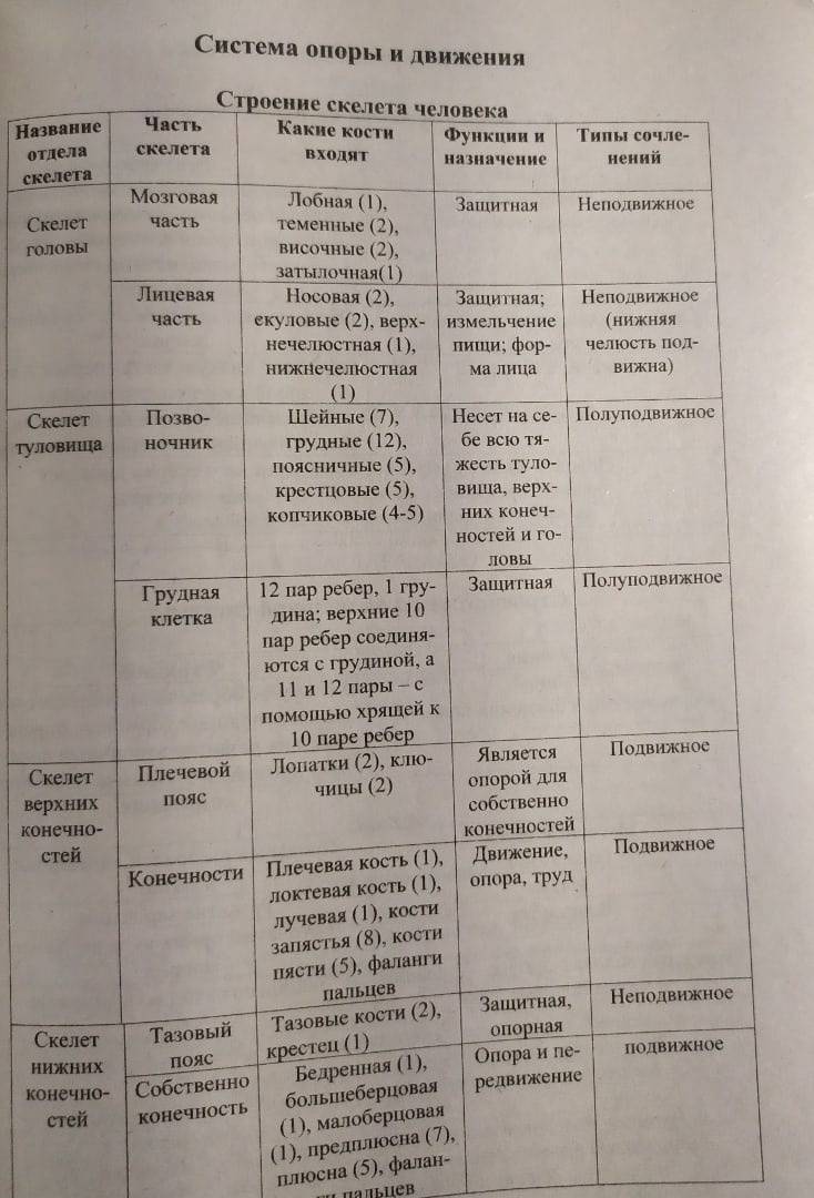 Биология 5 класс в таблицах и схемах