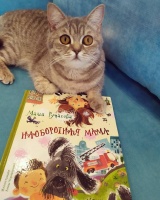 Изображение отзыва