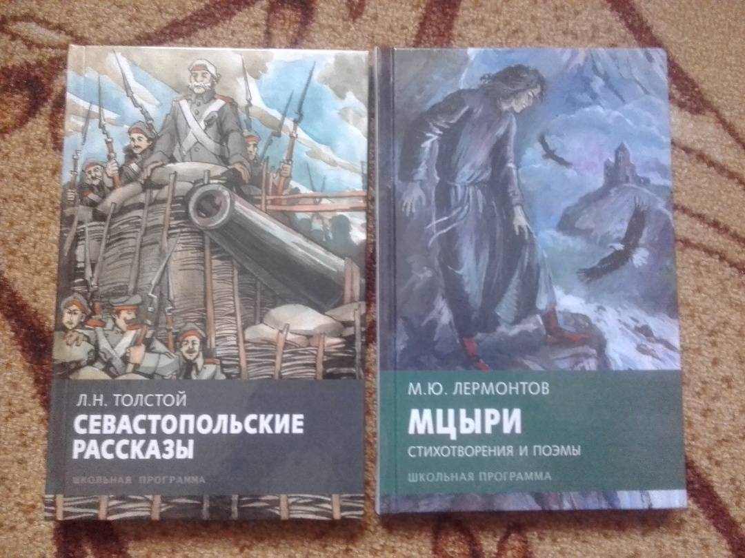 План произведения мцыри