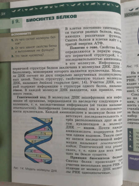 Книга: "Биология. 9 класс. Учебник. Базовый уровень. ФГОС" - Пасечник ...