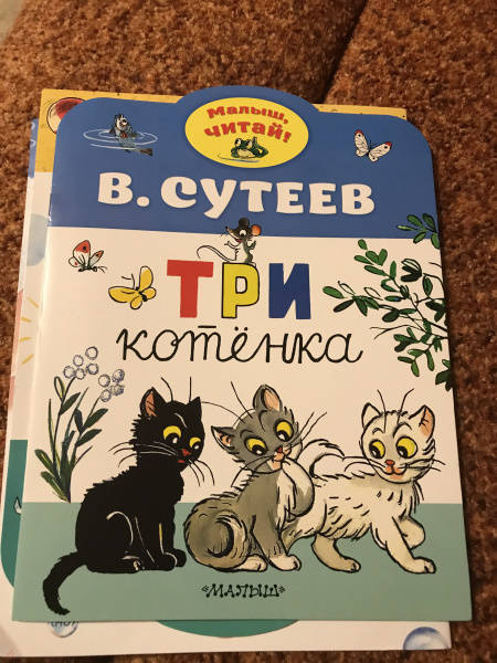 Сутеев три котенка текст с картинками распечатать