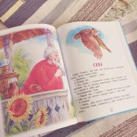 Изображение отзыва
