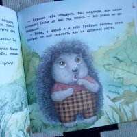 Изображение отзыва