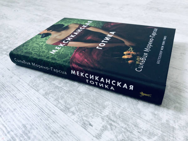 О чем книга мексиканская готика