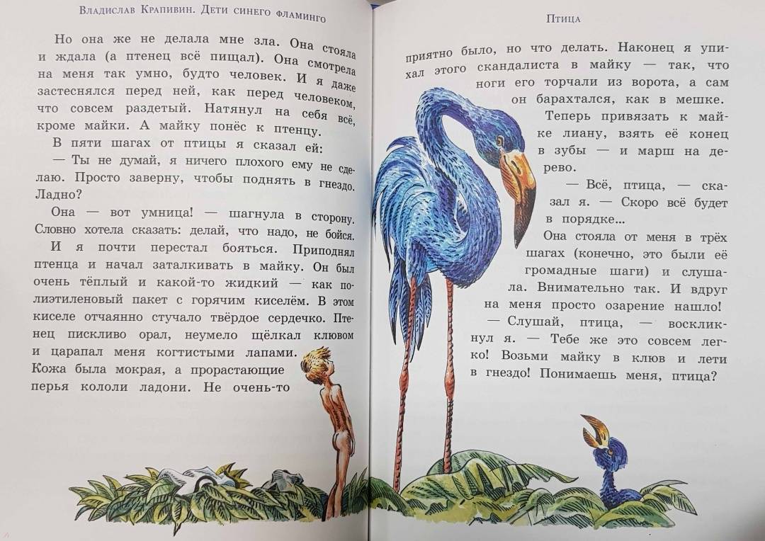 Дети синего фламинго слушать аудиокнигу. Дети синего Фламинго. Рисунок к сказке дети синего Фламинго.