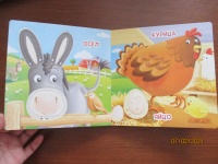 Изображение отзыва