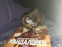 Изображение отзыва