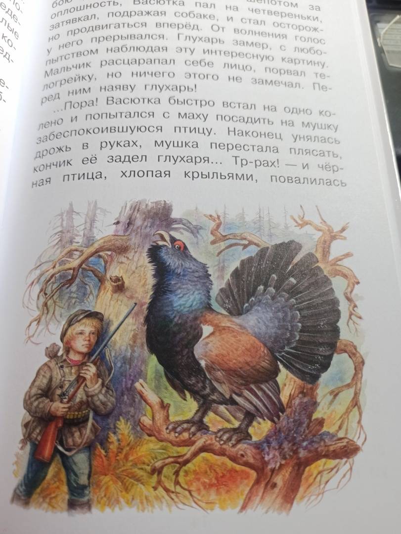 Картинка книги васюткино озеро