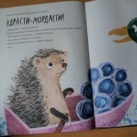 Изображение отзыва