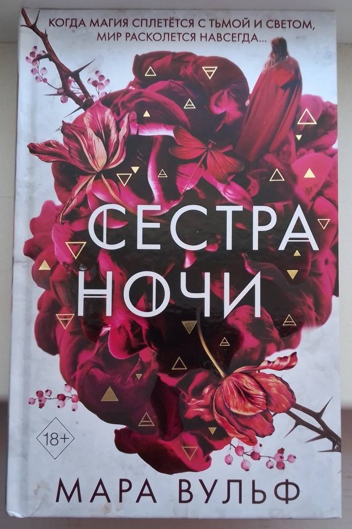 Сестры ночи книга