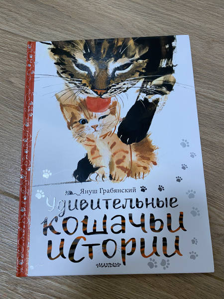 План по завоеванию мира для котов книга