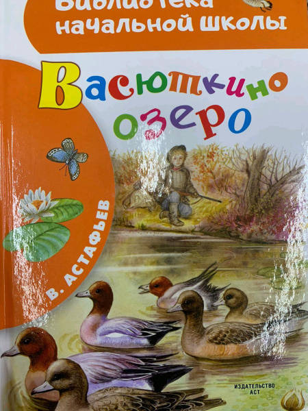 Картинка книги васюткино озеро