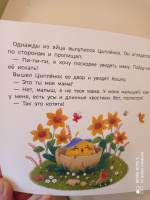 Изображение отзыва