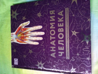 Книга: "Анатомия человека. Самая полная современная энциклопедия ...