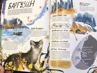 Книга: "Смотри: Байкал! Книга-путешествие" - Ольга Патрушева. Купить ...