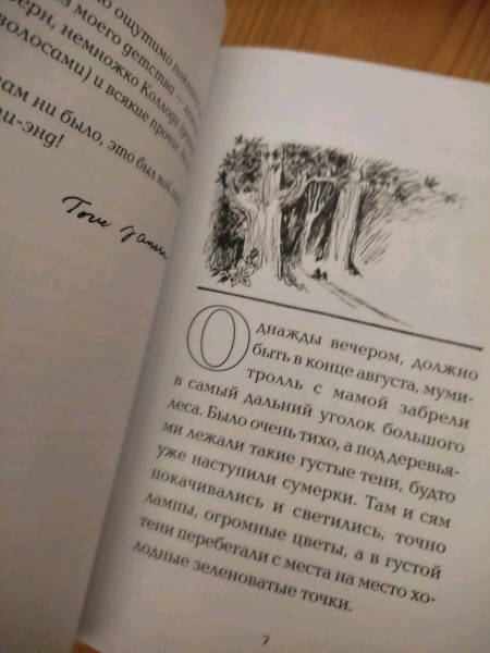 Маленькие тролли и большое наводнение читать онлайн бесплатно с картинками полностью с картинками