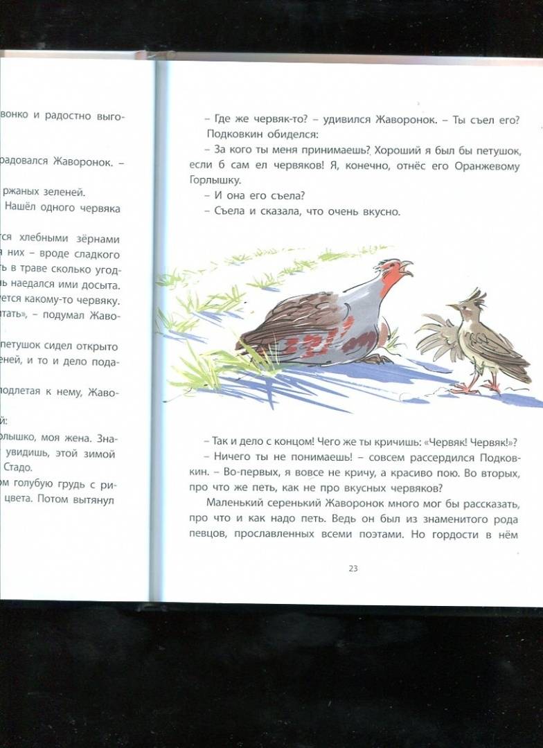 Читать сказку оранжевое горлышко. Бианки оранжевое горлышко книга. Бианки в. "оранжевое горлышко". Оранжевое горлышко план. Бианки оранжевое горлышко читательский дневник.