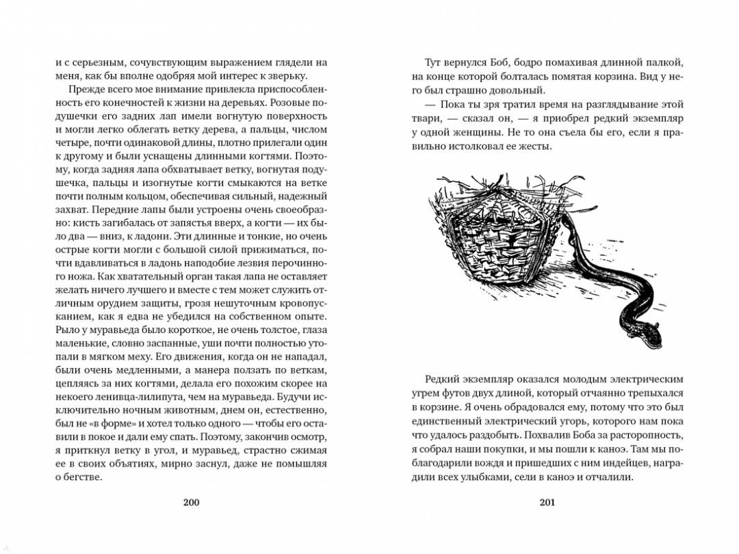 Серия книг Мир приключений (иллюстрированный) | издательство Азбука ...