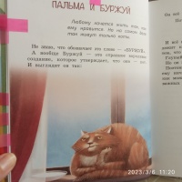 Изображение отзыва