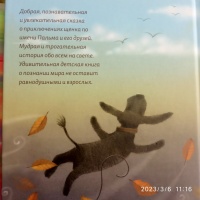 Изображение отзыва