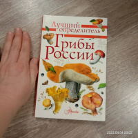 Изображение отзыва