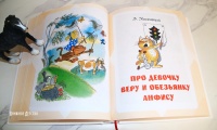 Изображение отзыва