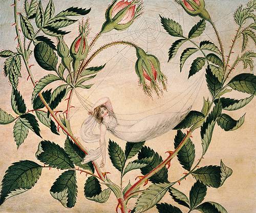 Лабиринт: литературная викторина