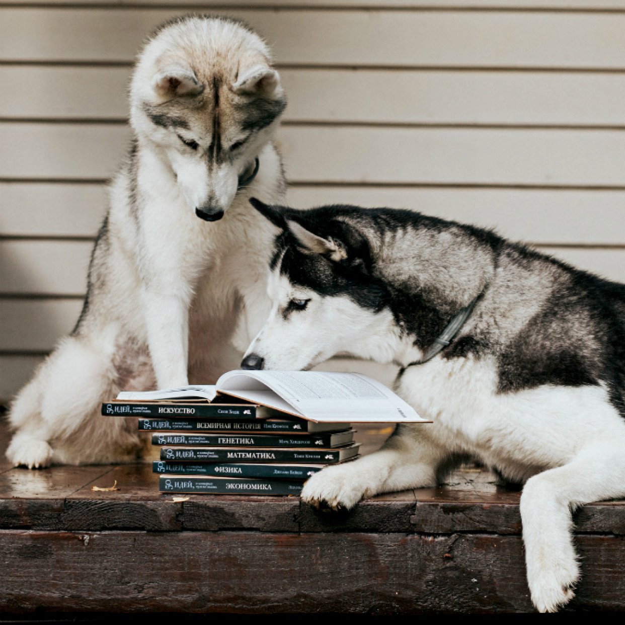 50 причин, чтобы ликвидировать незнание