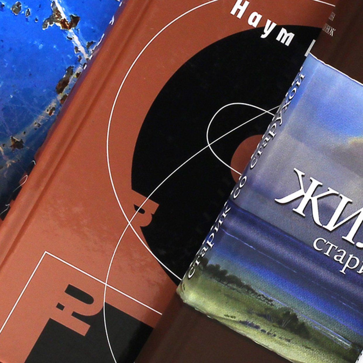 Книга: "Ленин. Пантократор солнечных пылинок" - Лев Данилкин. Купить ...