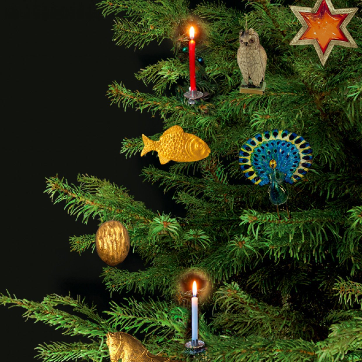 Новогодние стихи сегодня и сто лет назад