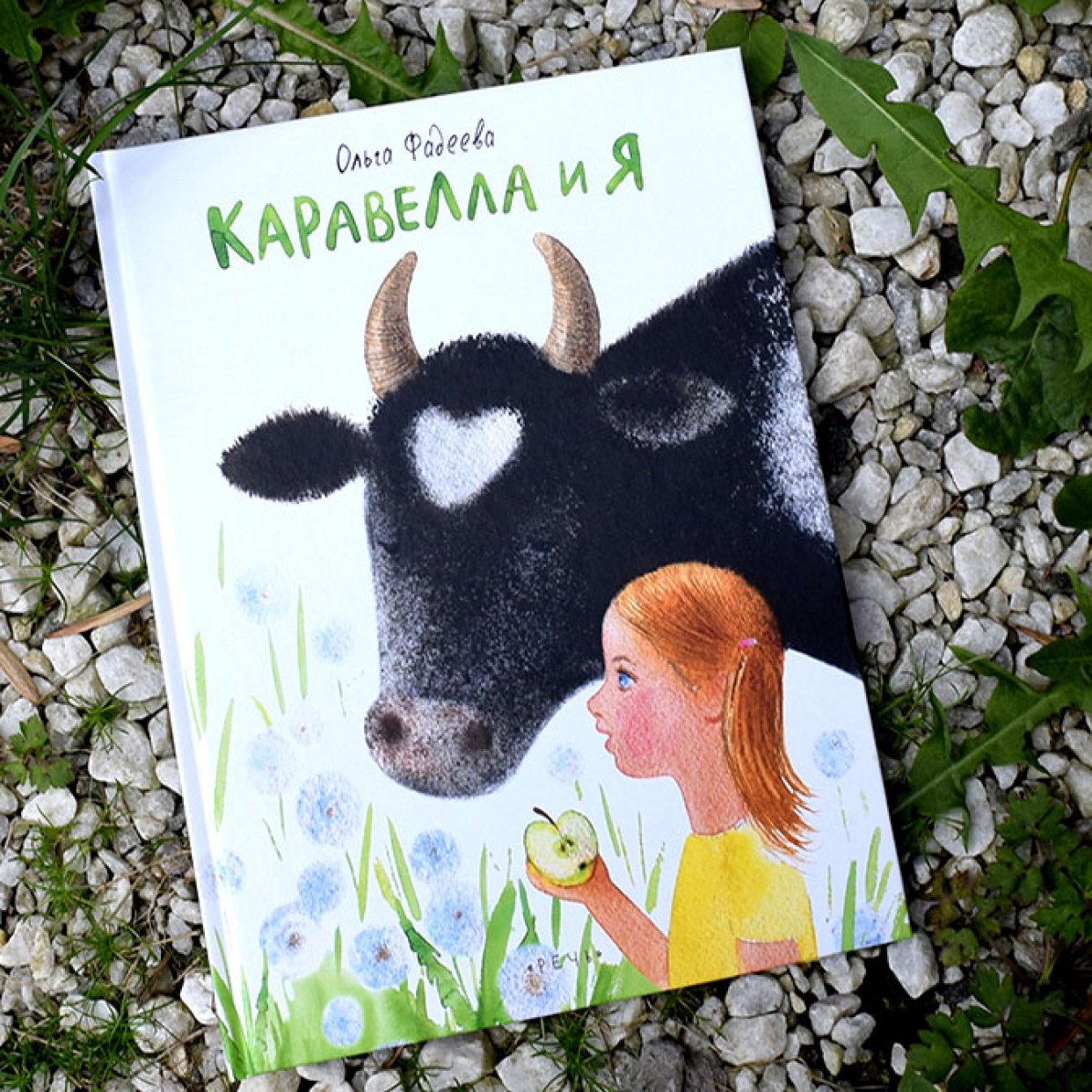 Книга: 