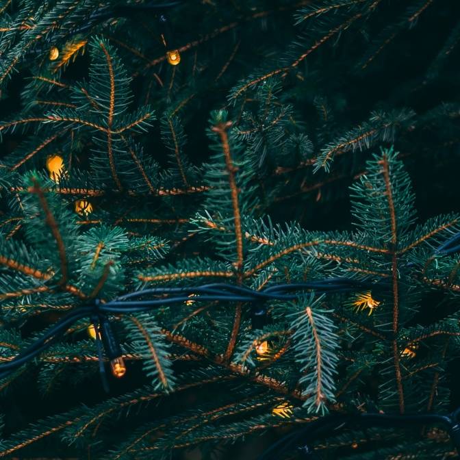 Рождественский бунт. Зимние книги для подростков