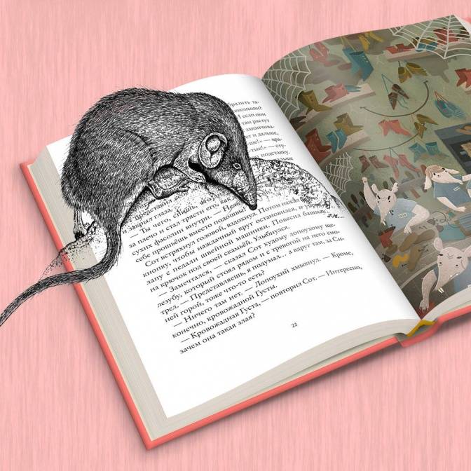 Землеройки, щелезубы и павлины. Пять новинок издательства «Абрикобукс»