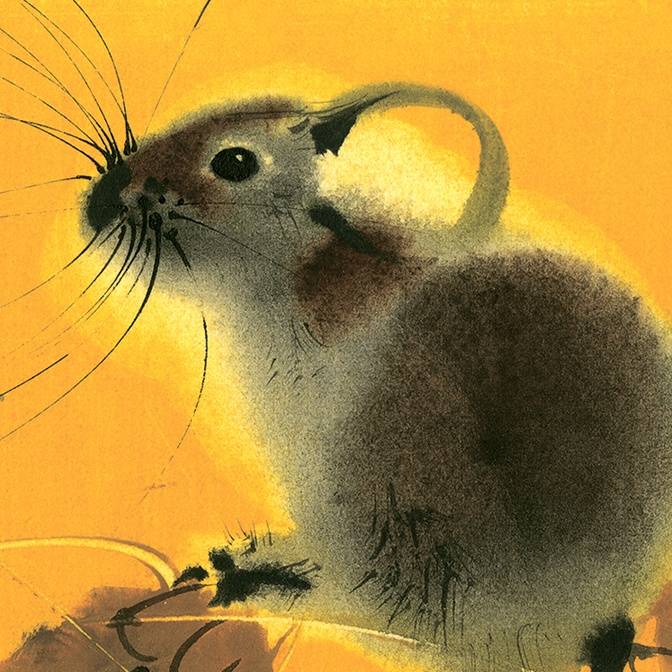 Улитки, лягушки и жирафы в необычных книжках-картонках для малышей